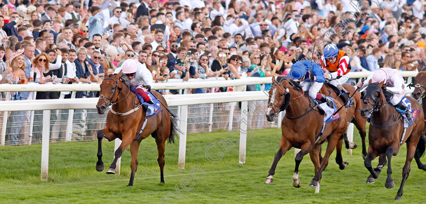 Absurde-0009 
 ABSURDE (Frankie Dettori) beats SWEET WILLIAM (right) and LIVE YOUR DREAM (centre) in The Sky Bet Ebor
York 26 Aug 2023 - Pic Steven Cargill / Racingfotos.com