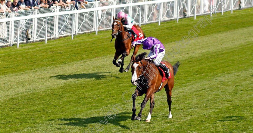 Point-Lonsdale-0005 
 POINT LONSDALE (Ryan Moore) wins The tote.co.uk Supporting Racing Ormonde Stakes
Chester 9 May 2024 - Pic Steven Cargill / Racingfotos.com