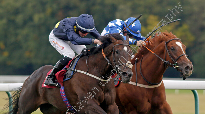 Rose-Fandango-0002 
 ROSE FANDANGO (right, Kieran O'Neill) beats TROIS VALLEES (left) in The Watch Racing TV Fillies Handicap
Haydock 2 Sep 2022 - Pic Steven Cargill / Racingfotos.com