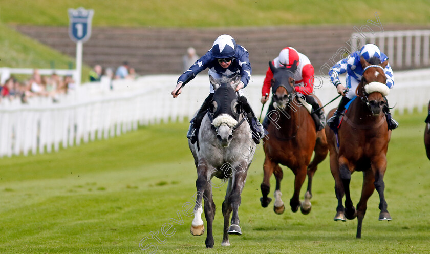 He s-A-Gentleman-0001 
 HE'S A GENTLEMAN (Brandon Wlikie)
Chester 8 May 2024 - Pic Steven Cargill / Racingfotos.com