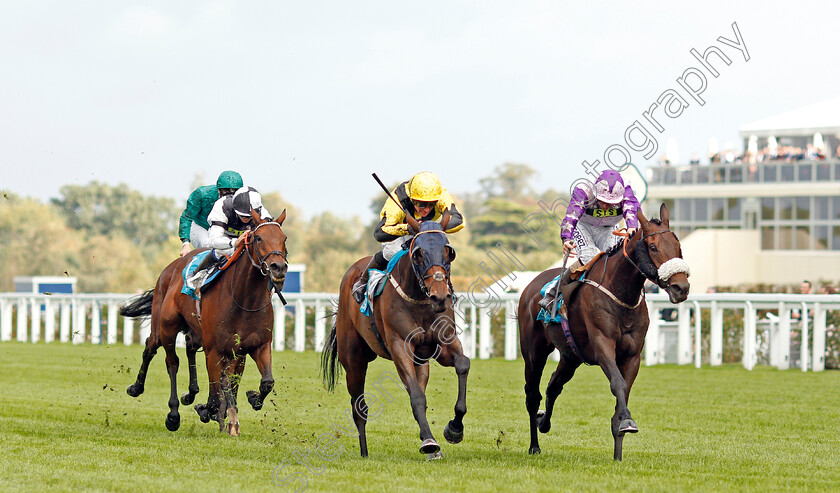 Landa-Beach-0001 
 LANDA BEACH (right, David Probert) beats DARKSIDEOFTARNSIDE (centre) in The Canaccord Genuity Gordon Carter Handicap
Ascot 4 Oct 2019 - Pic Steven Cargill / Racingfotos.com