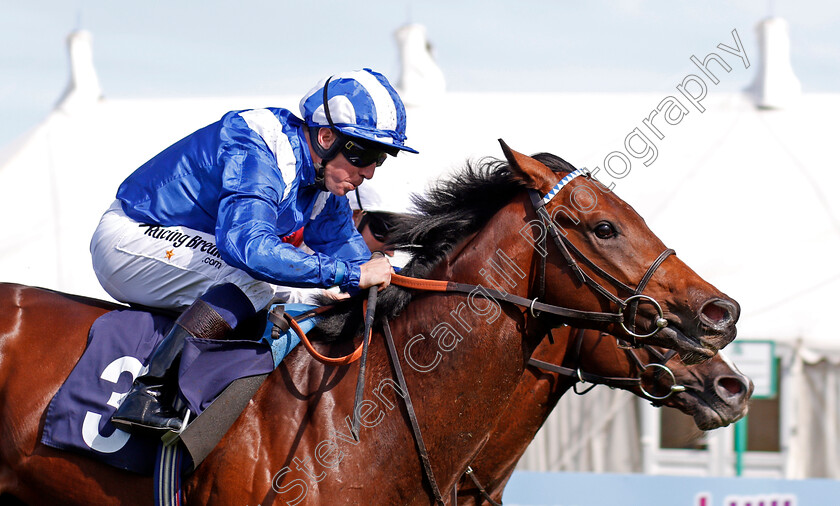 Mutaaqeb-0004 
 MUTAAQEB (Jim Crowley) wins The British Stallion Studs EBF Novice Stakes Yarmouth 19 Sep 2017 - Pic Steven Cargill / Racingfotos.com