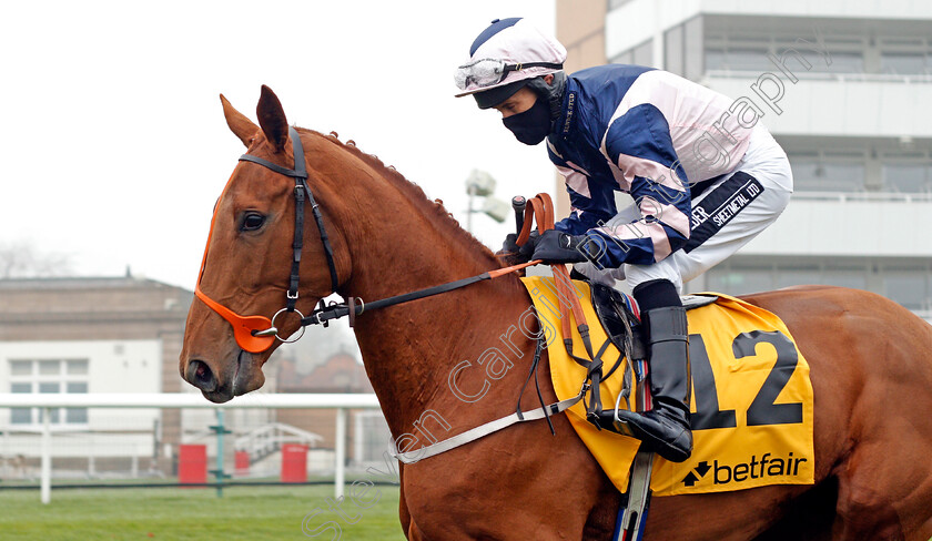 Salsada-0001 
 SALSADA (Graham Lee)
Doncaster 7 Nov 2020 - Pic Steven Cargill / Racingfotos.com