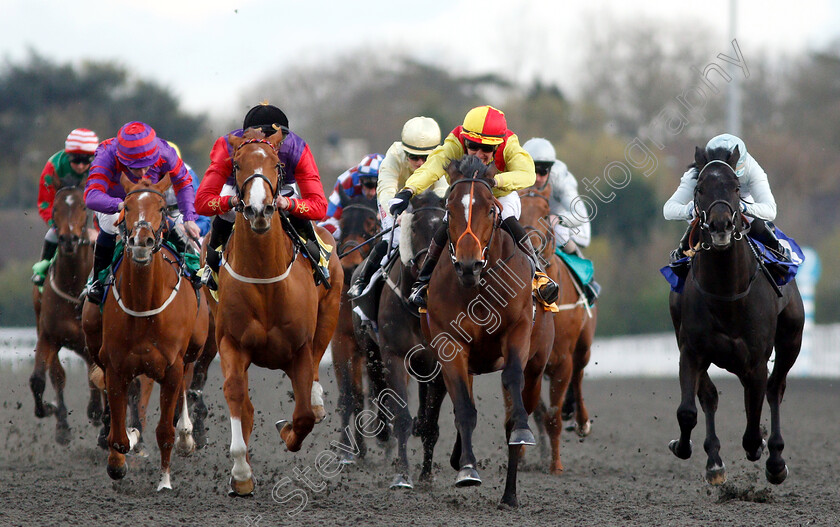 Balata-Bay-0003 
 BALATA BAY (centre, Luke Catton) beats REGULAR (left) in The 32Red Casino Handicap
Kempton 3 Apr 2019 - Pic Steven Cargill / Racingfotos.com