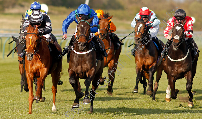 Kalma-0003 
 KALMA (centre, Tom Queally) beats CORBULO (left) in The Follow @racingtv On Twitter Handicap
Nottingham 17 Apr 2021 - Pic Steven Cargill / Racingfotos.com