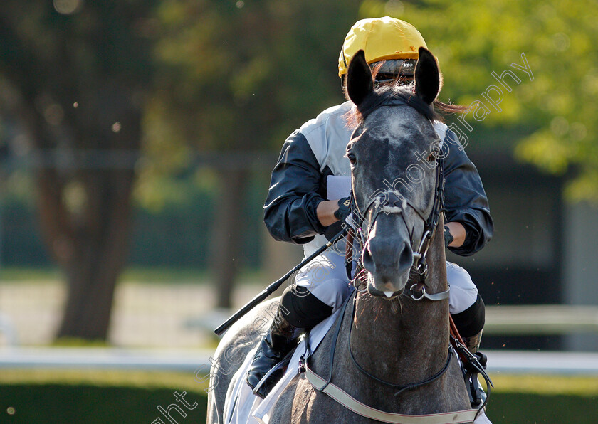 Chifa-0001 
 CHIFA (Silvestre de Sousa)
Kempton 4 Aug 2021 - Pic Steven Cargill / Racingfotos.com