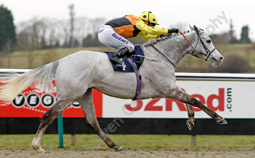 Watersmeet-0008 
 WATERSMEET (Joe Fanning) wins The Betway Conditions Stakes Lingfield 2 Feb 2018 - Pic Steven Cargill / Racingfotos.com