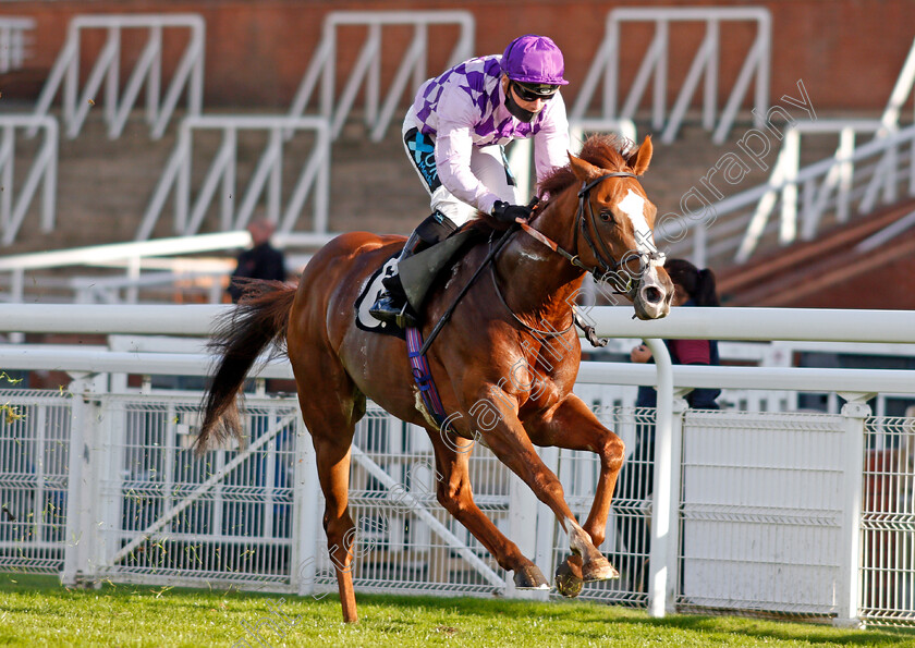 Amarillo-Star-0005 
 AMARILLO STAR (Stevie Donohoe) wins The tote.co.uk Home Of The Placepot Handicap
Goodwood 11 Oct 2020 - Pic Steven Cargill / Racingfotos.com