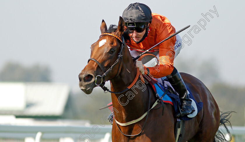 Kingmania-0006 
 KINGMANIA (Pat Cosgrave) wins The Visit attheraces.com Nursery
Yarmouth 15 Sep 2020 - Pic Steven Cargill / Racingfotos.com