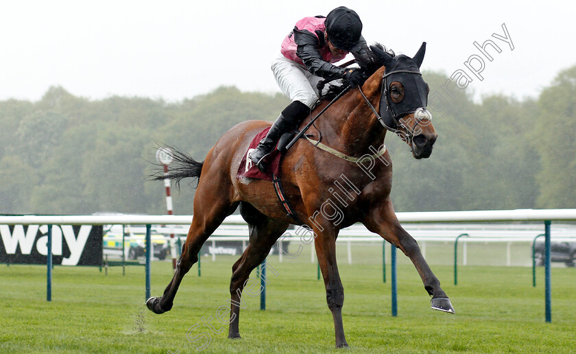 Severance-0003 
 SEVERANCE (George Downing) wins The Play 4 To Score At Betway Novice Stakes
Haydock 27 Apr 2019 - Pic Steven Cargill / Racingfotos.com