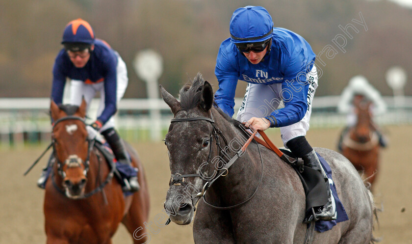 Broderie-0011 
 BRODERIE (Tom Marquand) wins The 32Red Casino Novice Stakes Lingfield 2 Feb 2018 - Pic Steven Cargill / Racingfotos.com