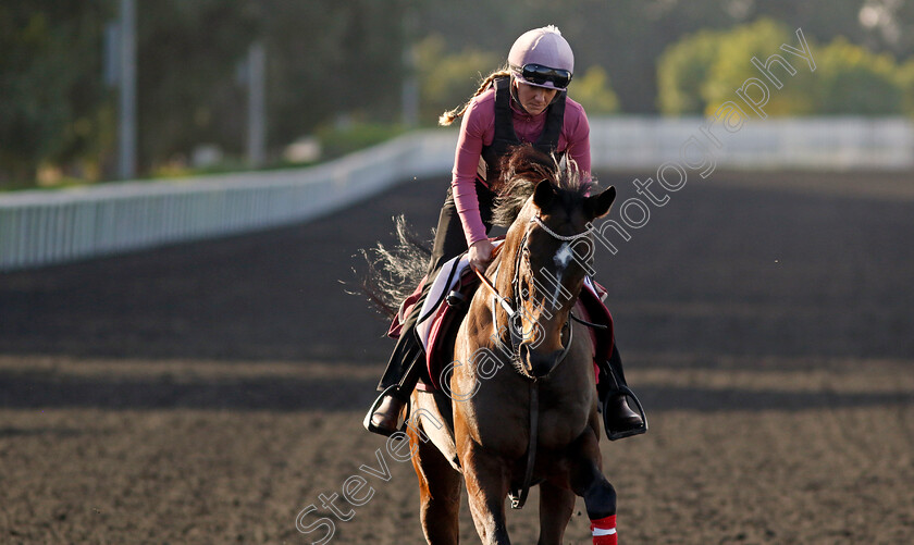 El-Bosnia-0002 
 EL BOSNIA training at the Dubai Racing Carnival 
Meydan 2 Jan 2025 - Pic Steven Cargill / Racingfotos.com