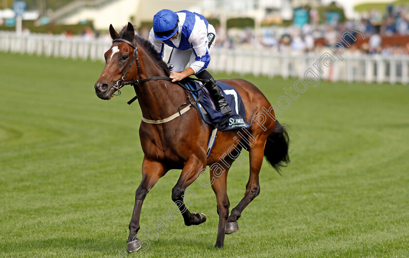 Moel-Arthur-0001 
 MOEL ARTHUR (Neil Callan)
Ascot 26 Jul 2024 - Pic Steven Cargill / Racingfotos.com