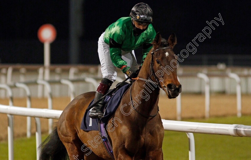 Inevitable-Outcome-0001 
 INEVITABLE OUTCOME (Laura Pearson)
Wolverhampton 4 Jan 2021 - Pic Steven Cargill / Racingfotos.com