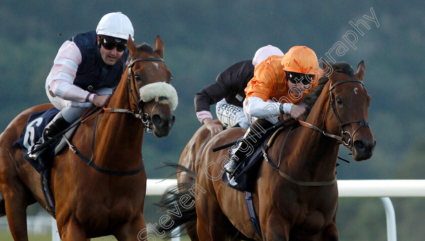 Sari-Mareis-0002 
 SARI MAREIS (right, Charles Bishop) with NABVUTIKA (left, Tom Queally)
Chepstow 2 Jul 2019 - Pic Steven Cargill / Racingfotos.com