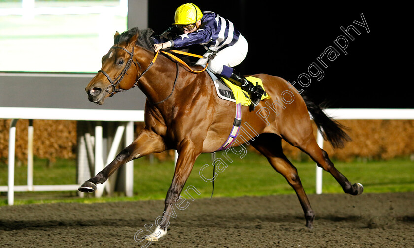 Happy-Banner-0003 
 HAPPY BANNER (Hector Crouch) wins The Unibet British Stallion Studs EBF Novice Stakes Div1 
Kempton 11 Dec 2024 - Pic Steven Cargill / Racingfotos.com