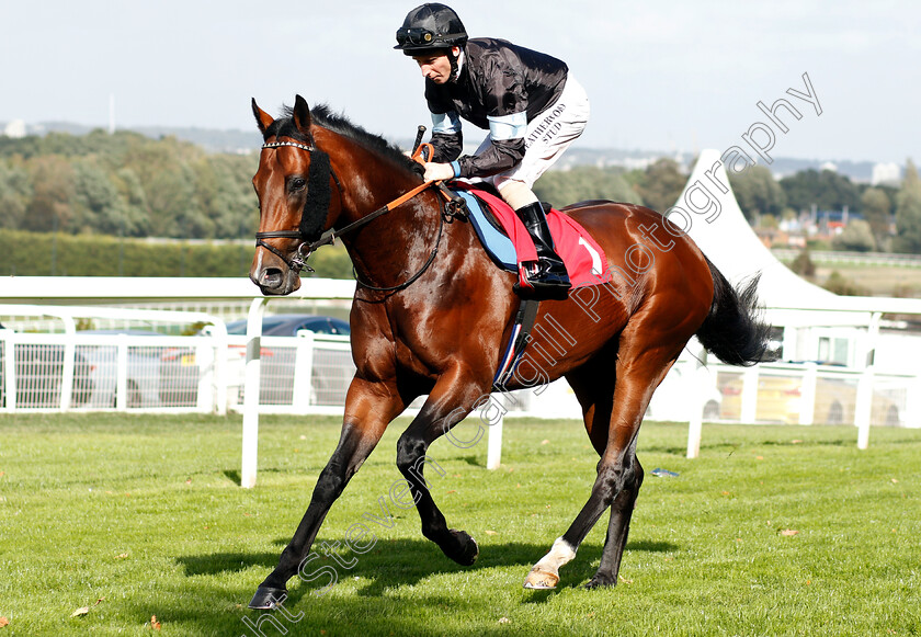 Zhui-Feng-0001 
 ZHUI FENG (Martin Dwyer)
Sandown 19 Sep 2018 - Pic Steven Cargill / Racingfotos.com