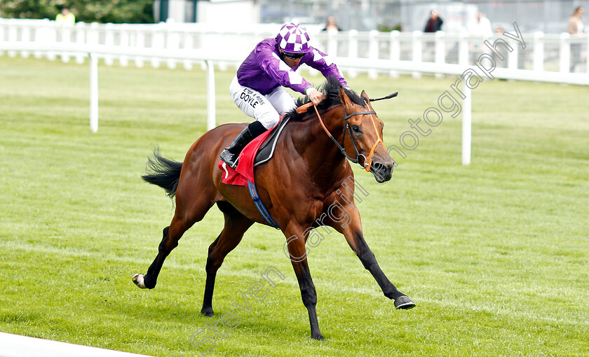 Ouzo-0002 
 OUZO (Sean Levey) wins The Follow @racingtv On Twitter Handicap
Sandown 14 Jun 2019 - Pic Steven Cargill / Racingfotos.com