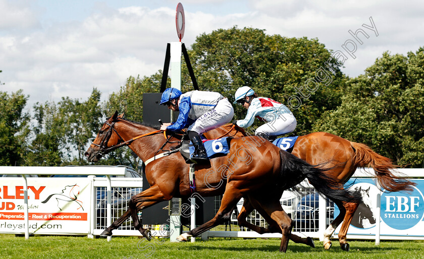 Seneca-Chief-0003 
 SENECA CHIEF (Jack Mitchell) wins The Venture Security Handicap
Salisbury 11 Aug 2021 - Pic Steven Cargill / Racingfotos.com