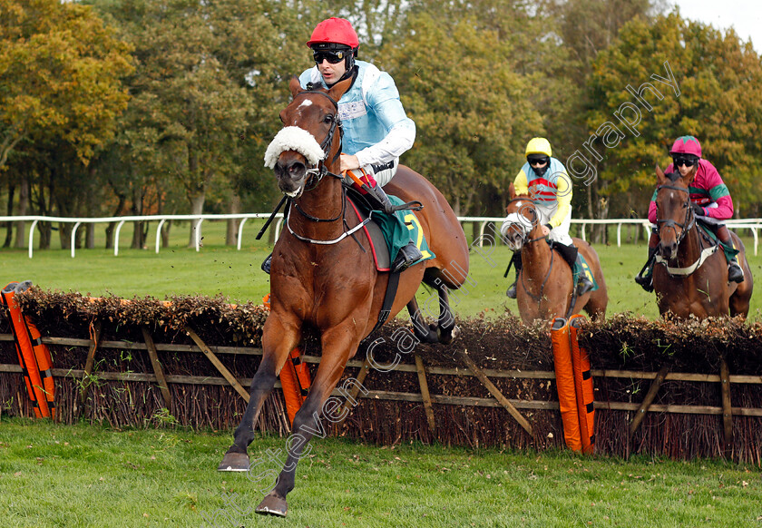 Here-Comes-Johny-0001 
 HERE COMES JOHNY (Aidan Coleman) wins The Champions Day On Sky Sports Racing National Hunt Maiden Hurdle
Fakenham 16 Oct 2020 - Pic Steven Cargill / Racingfotos.com