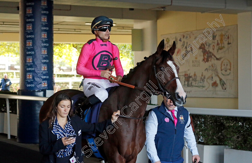 Facteur-Cheval-0002 
 FACTEUR CHEVAL (Maxime Guyon)
Ascot 19 Oct 2024 - Pic Steven Cargill / Racingfotos.com