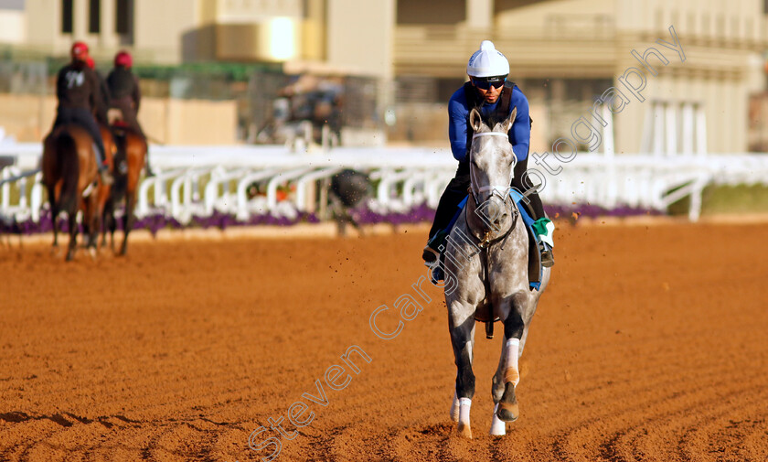 Saudi-Crown-0003 
 SAUDI CROWN training for The Saudi Cup
King Abdulaziz Racecourse, Saudi Arabia 21 Feb 2024 - Pic Steven Cargill / Racingfotos.com