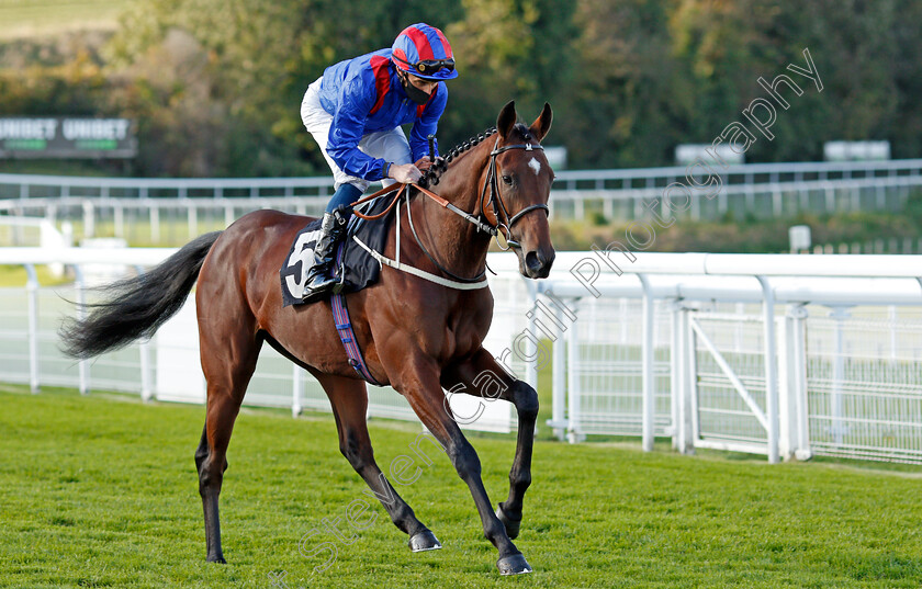 King-Frankel-0003 
 KING FRANKEL (William Buick)
Goodwood 11 Oct 2020 - Pic Steven Cargill / Racingfotos.com