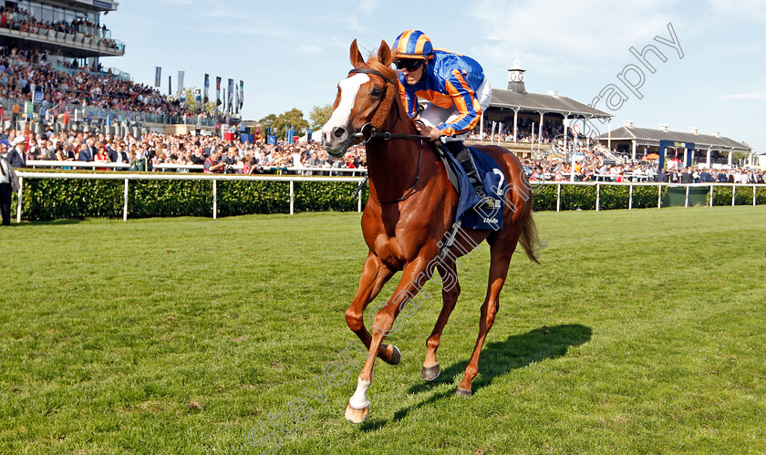 Il-Paradiso-0002 
 IL PARADISO (Padraig Beggy)
Doncaster 14 Sep 2019 - Pic Steven Cargill / Racingfotos.com