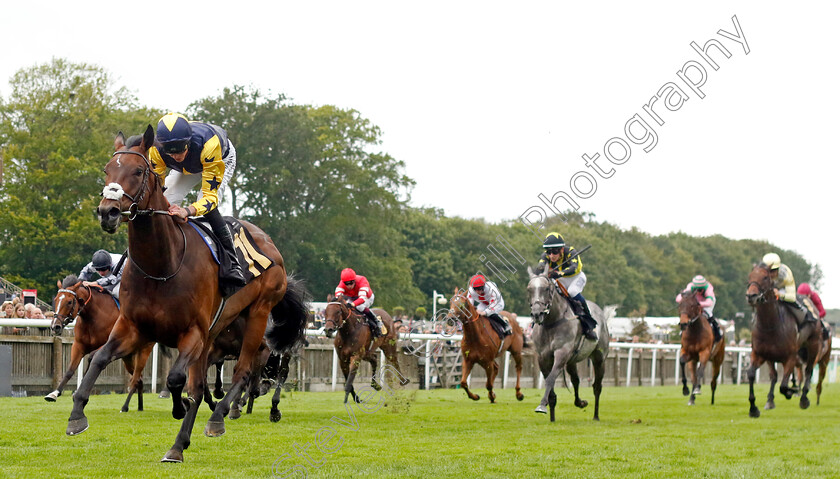 Validated-0004 
 VALIDATED (James Doyle) wins The Federation Of Bloodstock Agents Handicap
Newmarket 12 Jul 2024 - pic Steven Cargill / Racingfotos.com