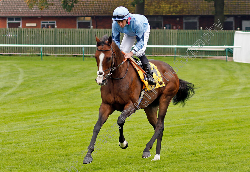 Regal-Reality-0001 
 REGAL REALITY (Ryan Moore)
Haydock 7 Sep 2024 - Pic Steven Cargill / Racingfotos.com