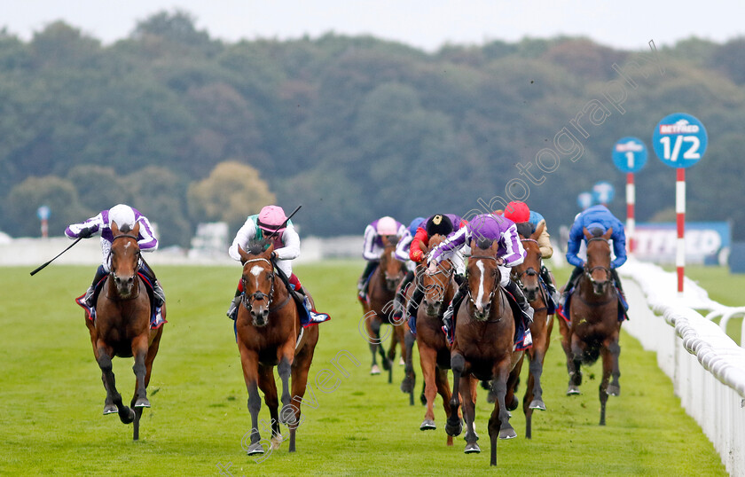 Continuous-0006 
 CONTINUOUS (Ryan Moore) beats ARREST (2nd left) in The Betfred St Leger Stakes
Doncaster 16 Sep 2023 - Pic Steven Cargill / Racingfotos.com