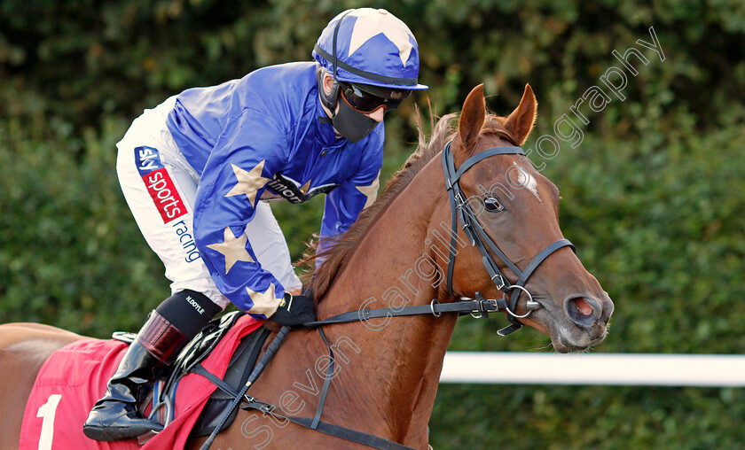 Blue-Beret-0001 
 BLUE BERET (Hollie Doyle)
Kempton 18 Aug 2020 - Pic Steven Cargill / Racingfotos.com