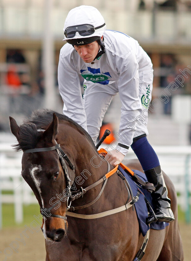 Epsom-Faithfull-0007 
 EPSOM FAITHFULL (Paddy Bradley) winner of The Best Racing Odds Guaranteed At Betmgm Handicap
Lingfield 20 Jan 2024 - Pic Steven Cargill / Racingfotos.com