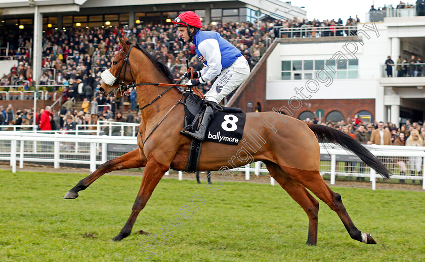 Whatmore-0001 
 WHATMORE (Andrew Tinkler) Cheltenham 1 Jan 2018 - Pic Steven Cargill / Racingfotos.com