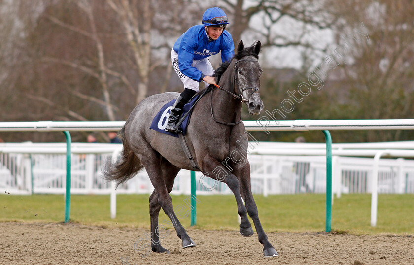 Broderie-0001 
 BRODERIE (Tom Marquand) winner of The 32Red Casino Novice Stakes Lingfield 2 Feb 2018 - Pic Steven Cargill / Racingfotos.com