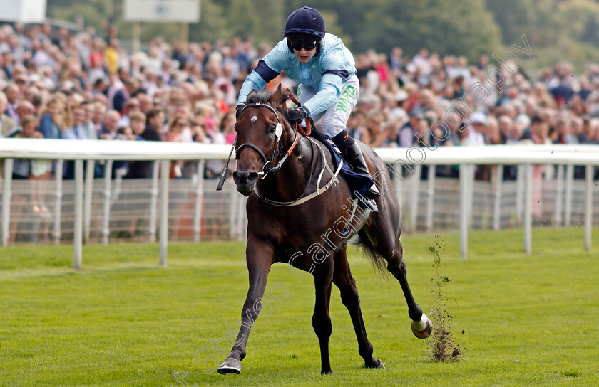 Royal-Patronage-0007 
 ROYAL PATRONAGE (Jason Hart) wins The Tattersalls Acomb Stakes
York 18 Aug 2021 - Pic Steven Cargill / Racingfotos.com