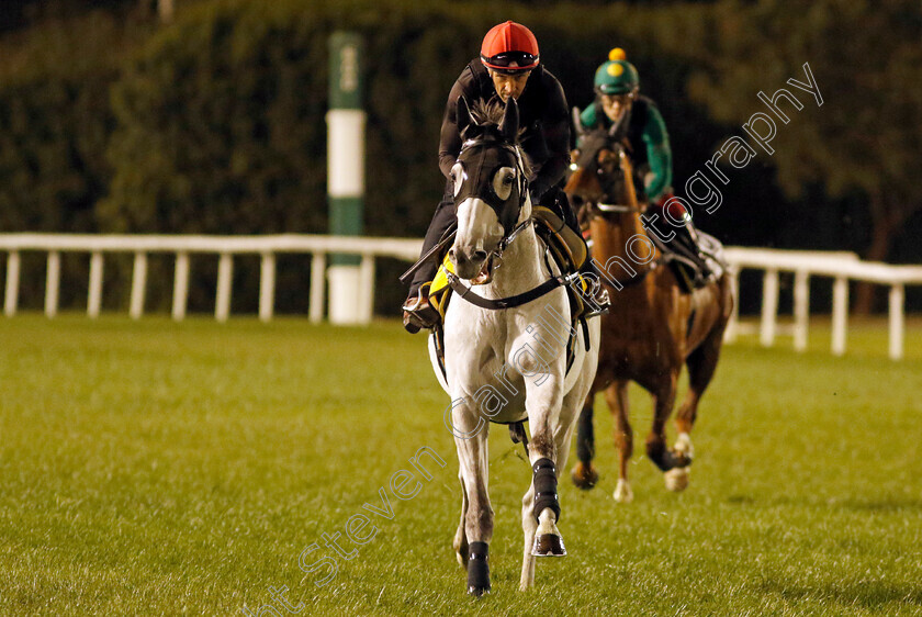 Glorious-Dragon-0001 
 GLORIOUS DRAGON training for The Dubai Turf
Meydan, Dubai, 22 Mar 2023 - Pic Steven Cargill / Racingfotos.com