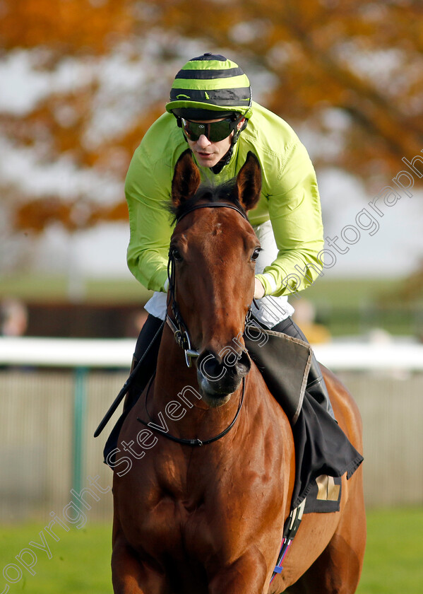 Kathleen-Mary-0002 
 KATHLEEN MARY (Richard Kingscote)
Newmarket 23 Oct 2024 - Pic Steven Cargill / Racingfotos.com