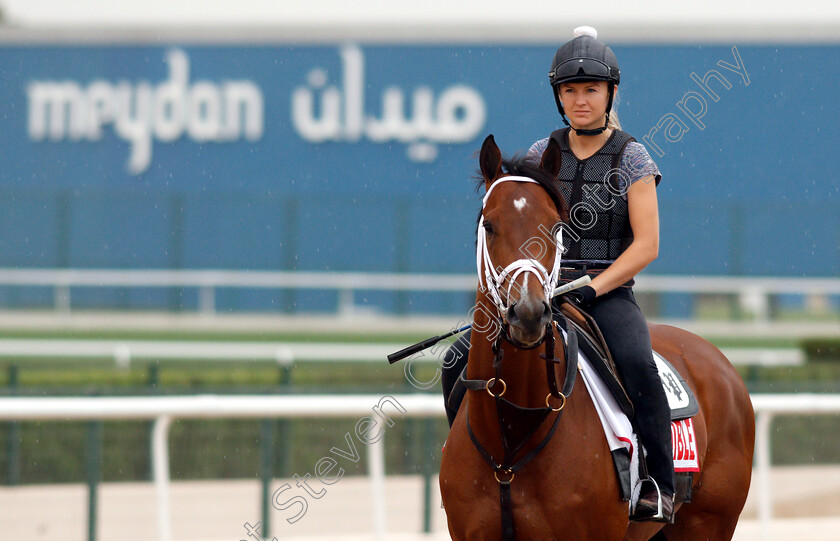 Audible-0002 
 AUDIBLE training for the Dubao World Cup
Meydan 27 Mar 2019 - Pic Steven Cargill / Racingfotos.com