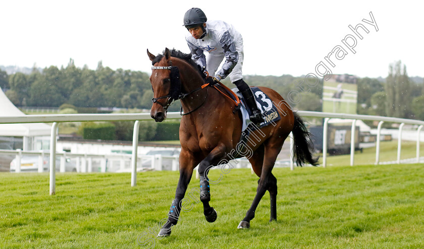 Pjanoo-0001 
 PJANOO (Sean Levey)
Sandown 15 Jun 2024 - Pic Steven Cargill / Racingfotos.com