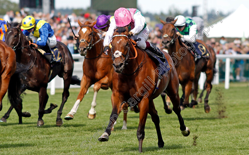 Kikkuli-0002 
 KIKKULI (Oisin Muphy)
Royal Ascot 22 Jun 2024 - Pic Steven Cargill / Racingfotos.com