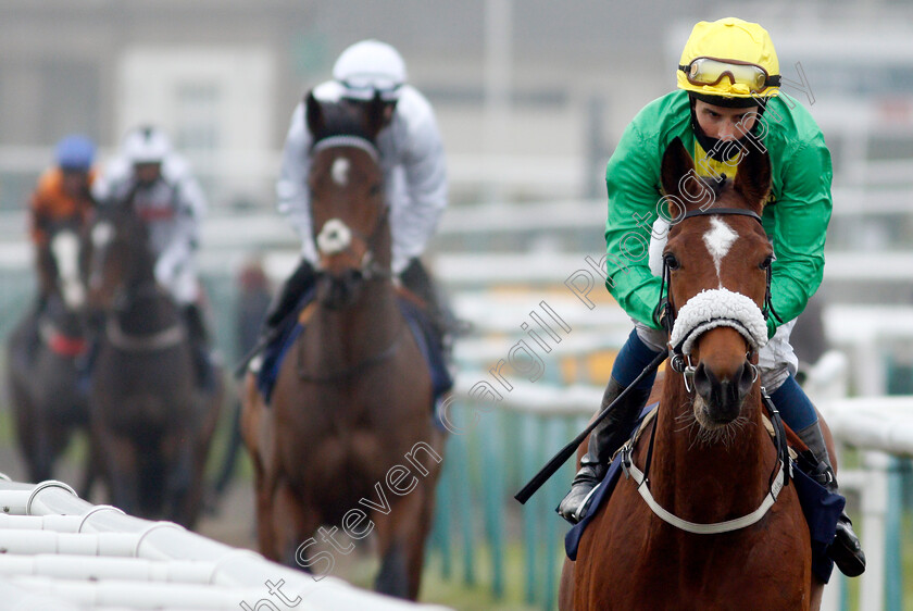 Dream-Round-0001 
 DREAM ROUND (William Buick)
Doncaster 7 Nov 2020 - Pic Steven Cargill / Racingfotos.com