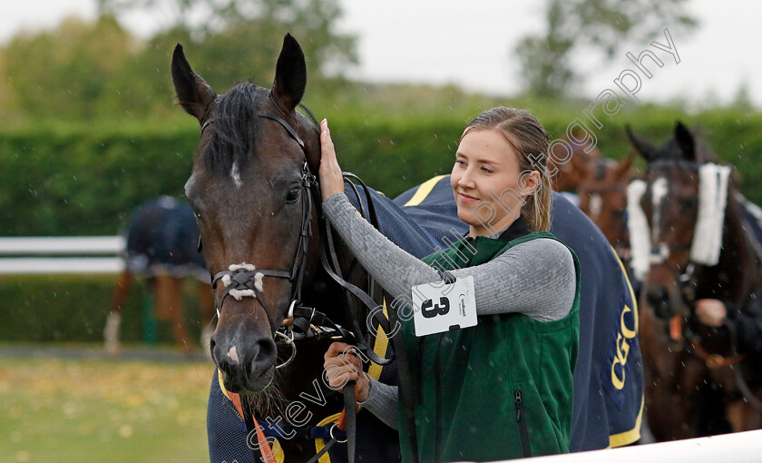 Murphy s-Dream-0012 
 MURPHY'S DREAM
Southwell 4 Oct 2022 - Pic Steven Cargill / Racingfotos.com