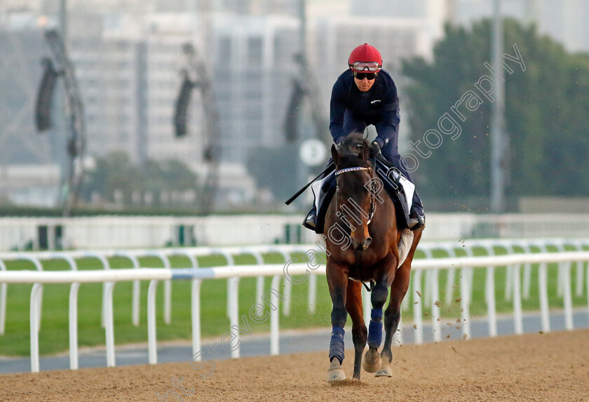 Generous-Tipper-0001 
 GENEROUS TIPPER training at the Dubai Racing Carnival
Meydan 22 Jan 2025 - Pic Steven Cargill / Racingfotos.com