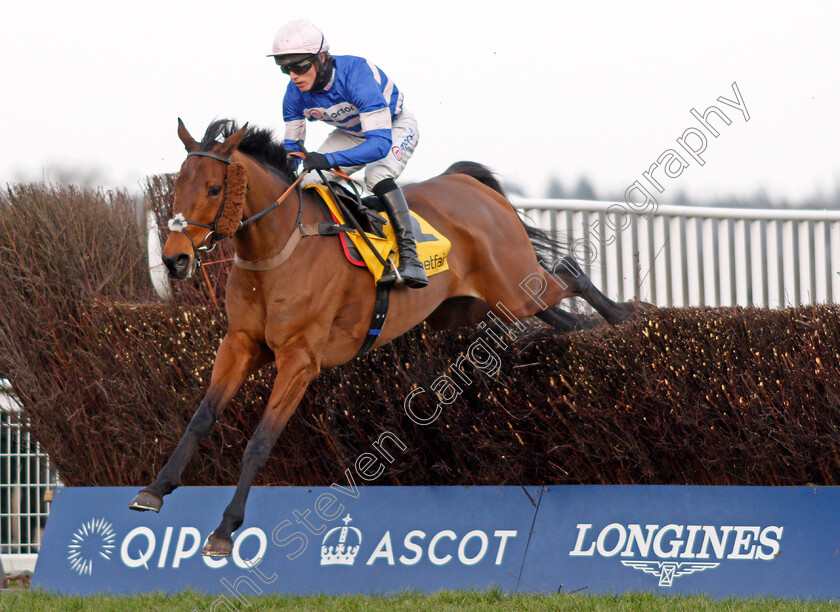 Cyrname-0005 
 CYRNAME (Harry Cobden)
Ascot 20 Feb 2021 - Pic Steven Cargill / Racingfotos.com