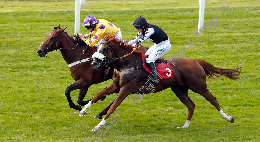 Biotic-0002 
 BIOTIC (Joanna Mason) beats CLUB TROPICANA (right) in The Coppafeel! 10 Year Anniversary Handicap
Sandown 5 Jul 2019 - Pic Steven Cargill / Racingfotos.com