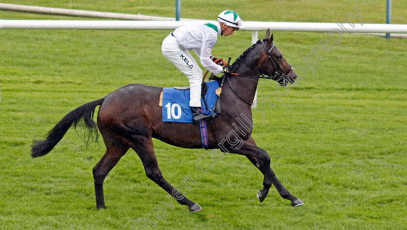 Spirit-Of-Summer-0001 
 SPIRIT OF SUMMER (Jason Watson)
Leicester 10 Sep 2024 - Pic Steven Cargill / Racingfotos.com