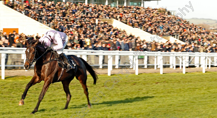 North-Hill-Harvey-0001 
 NORTH HILL HARVEY (Harry Skelton) wins The Racing Post Arkle Trophy Trial Novices Chase Cheltenham 19 Nov 2017 - Pic Steven Cargill / Racingfotos.com