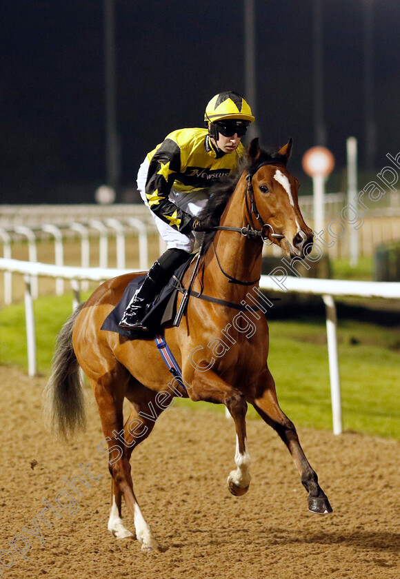 Warm-Glow-0003 
 WARM GLOW (Ross Coakley)
Wolverhampton 20 Dec 2024 - Pic Steven Cargill / Racingfotos.com