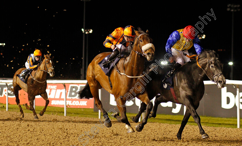 Mount-Tahan-0002 
 MOUNT TAHAN (centre, Kevin Stott) beats MARATHA (right) in The Betway Casino Handicap Wolverhampton 15 Jan 2018 - Pic Steven Cargill / Racingfotos.com